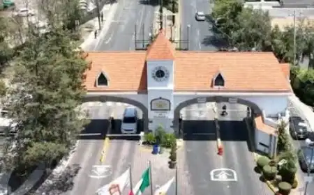 Fumigación en Atizapán de Zaragoza, Condado de Sayavedra